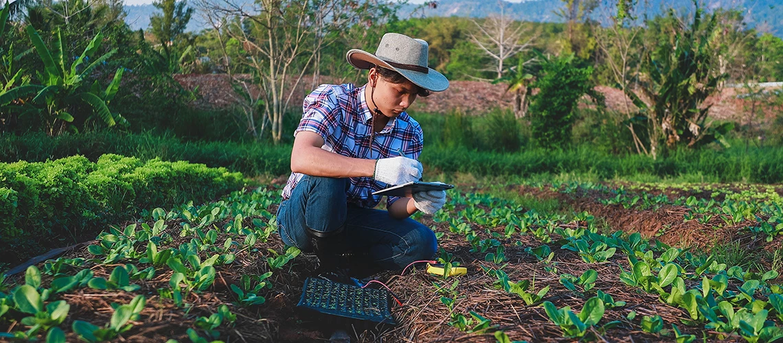 A farmer checks quality of soil in his farm. | © Adobe Stock