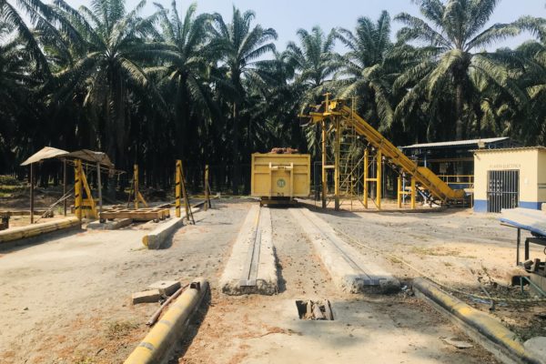 photo of machinery surrounded by palm trees