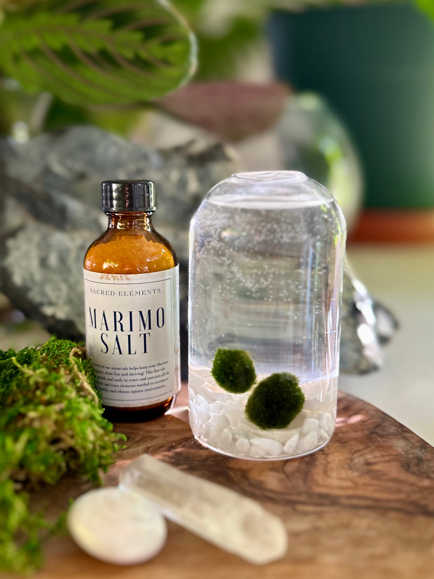 
                  
                    Marimo Salt
                  
                