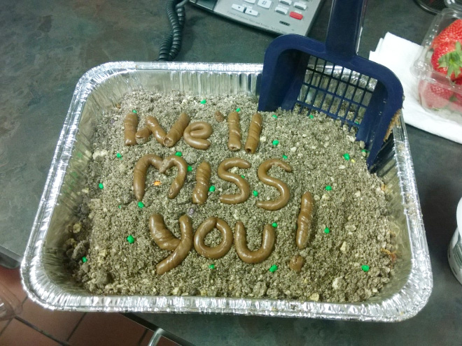 Hilariously rude farewell cake.