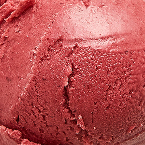 Marionberry Coconut Sherbet (v)