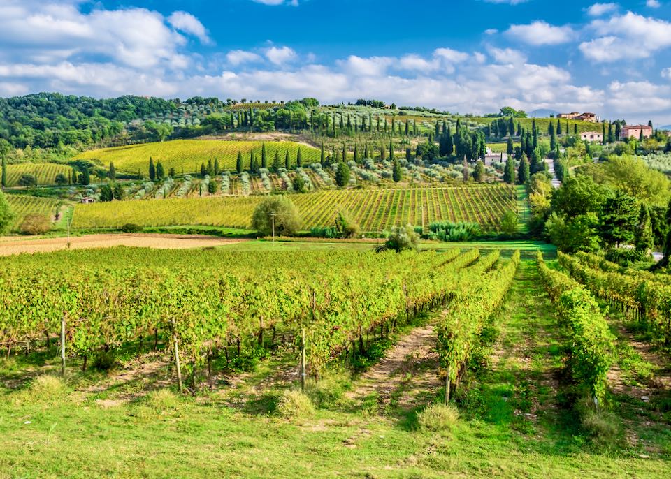 Best time to visit Tuscany, Italy.