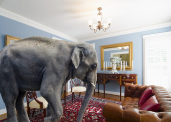 A big elephant inside a living room