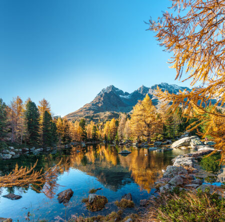 Autumn,Landscape,In,Val,Da,Camp,In,Puschlav