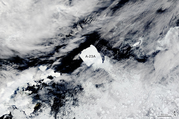 Stuck on the seafloor for decades, Iceberg A-23A now freely drifts northward toward warmer, iceberg-destroying waters.