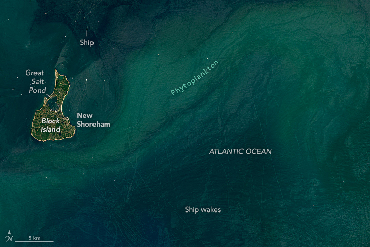 In the blue-green ocean a small island sits to the left portion of the image. The green island is outlined with a bright somewhat yellow border of beach and has an inland pond connected to the ocean.