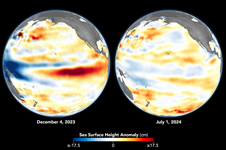 The image shows two sea surface topographic maps of the Pacific Ocean where elevation is indicated by color gradient. Neutral elevation is white, and below average elevation gradually more blue, and higher elevations are more red. The Image on the left has a dark red streak near the equator toward South America, and a dark blue region near Indonesia. On the right the elevation differences are not nearly as drastic and colors are much closer to neutral white on average.