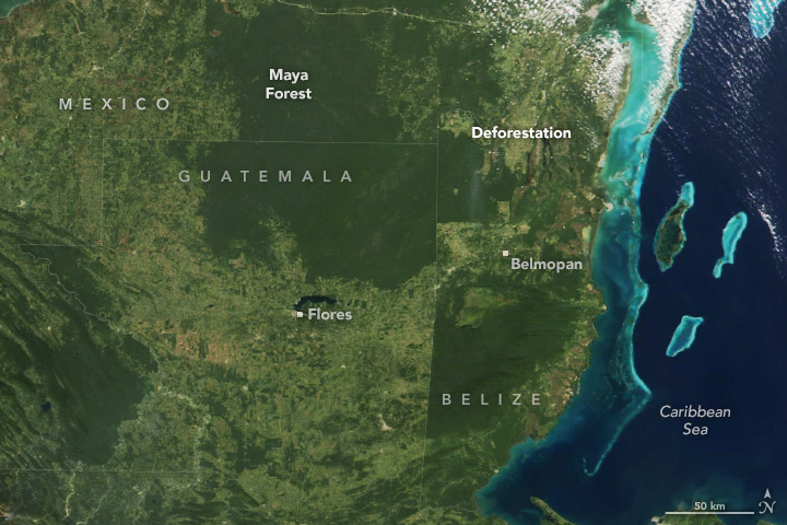 A satellite image of coastal region, with ocean on the right and land on the left. The land is overwhelmingly green, with large patches of dark green that reflect forest. The edges of these dark green areas are clearly showing signs of encroaching human population and agriculture.