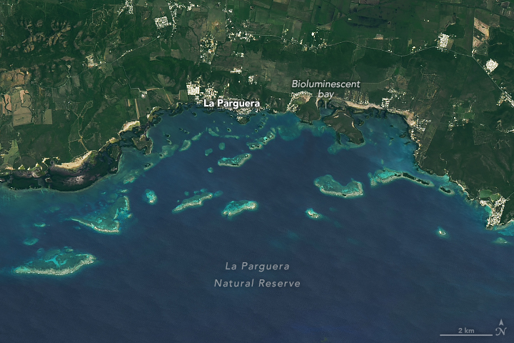 In this satellite image a group of fringing and patch reefs runs parallel to the shore. Mangrove trees, which appear dark green, line the coast and dot some of the coral islands. Seagrass beds extend offshore from the mangroves and on the lee side of linear reefs. Signs of these tropical marine ecosystems are visible in this image. The color of the water varies from turquoise near these reefs to an average blue.