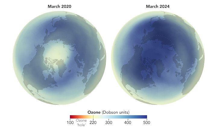 Two maps of earth from the arctic polar with an overlay color gradient indicating amount of O-zone. The gradient ranges from red to pale yellow, which up to blue. Red would be an "Ozone hole" and pale yellow an acceptable level and dark blue would be high quantities. The left image is labeled as March 2020 and the right from March 2024. The image on the left shows a pale yellow over the arctic, surrounded by medium blue shade and pale yellow around the equator. The image on the right shows the arctic in a dark blue that becomes gradually lighter before reaching pale yellow at the equator.