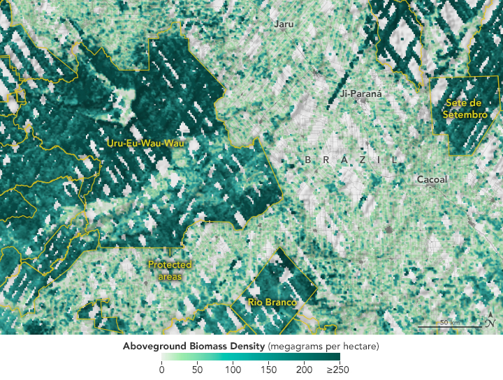 Indigenous people are protecting carbon-rich forests in South America, and satellites are helping.