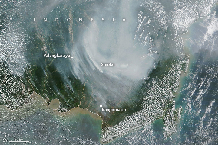 Dry conditions brought on by El Niño likely intensified the 2023 fire season, following several years of relative quiet.