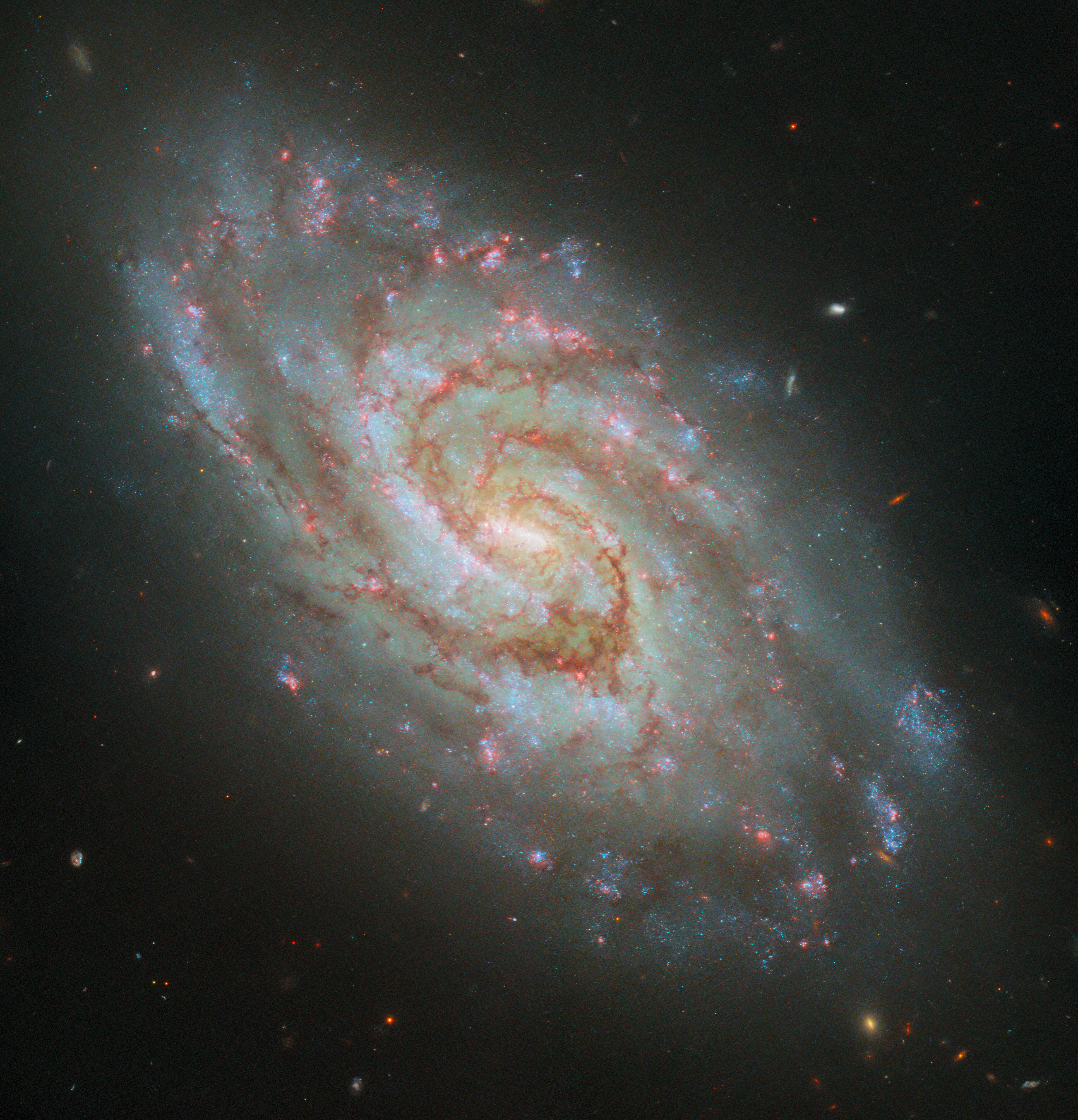 Hubble Captures Stellar Nurseries in a Majestic Spiral