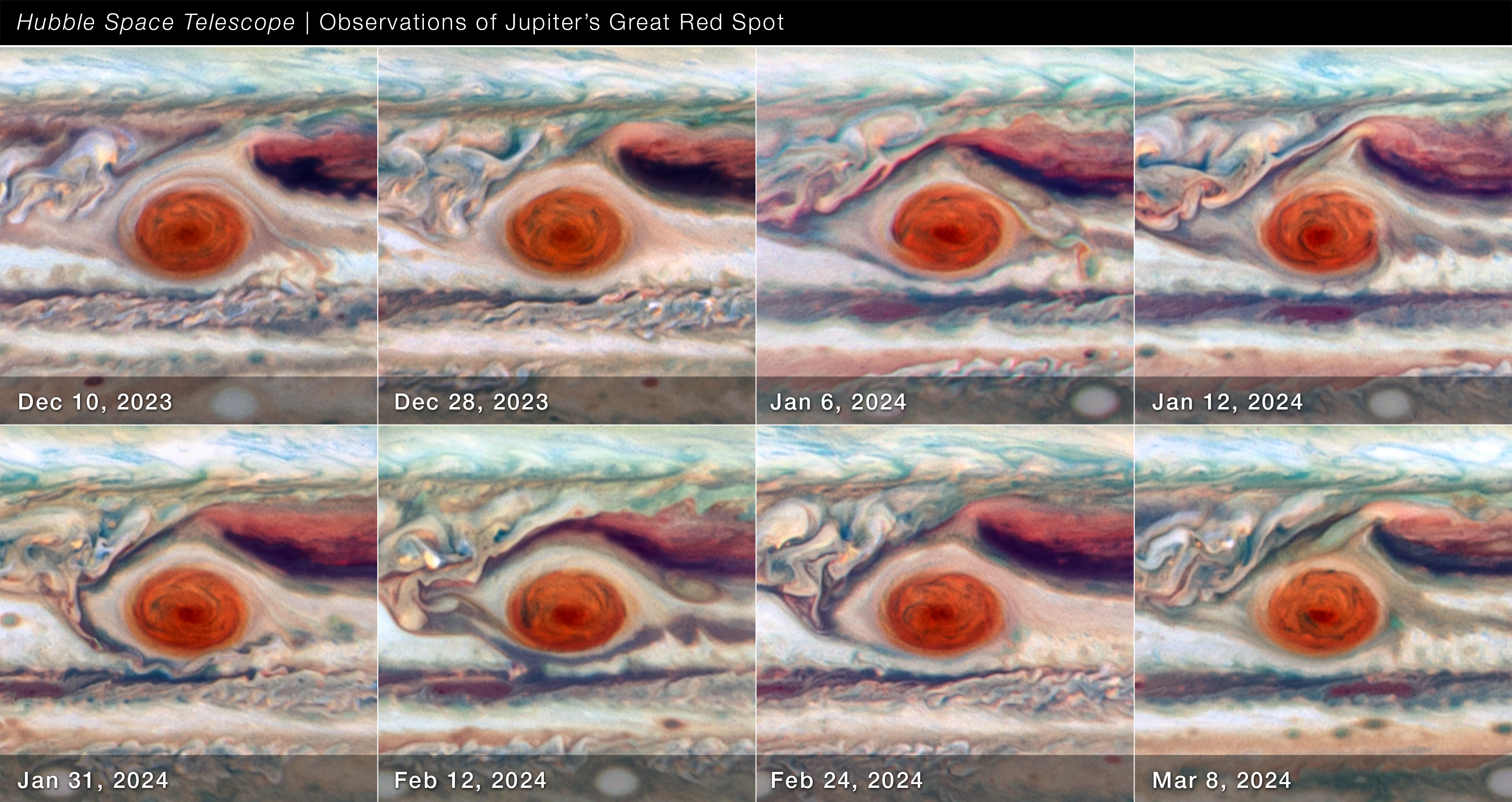 Eight Hubble images showing Jupiter's Great Red Spot as it changes over time from December 2023 to March 2024.