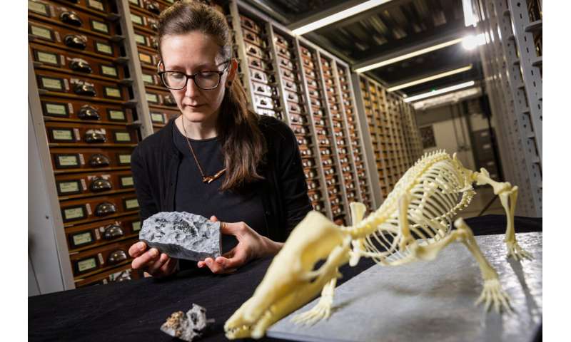 Discovery on Isle of Skye suggests ancient mammals may have had longer lifespans than modern counterparts