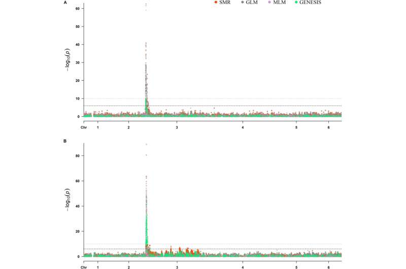 Elucidating the genetic basis of downy mildew resistance in spinach with skim resequencing: a comprehensive analysis of RPF2 and RPF3 loci