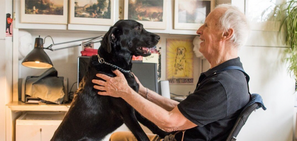 Image of an elderly man sitting in a chair, holding a black dog on his lap and smiling, while the dog looks at him