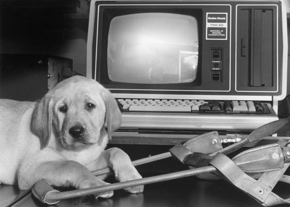 Black and white photo of a young puppy resting beside a leather harness and one of the first computers.