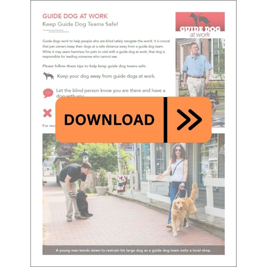 preview of guide dog at work flier with download icon