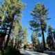 Week Long Spanish Immersion Program: ISSI in Tahoe!