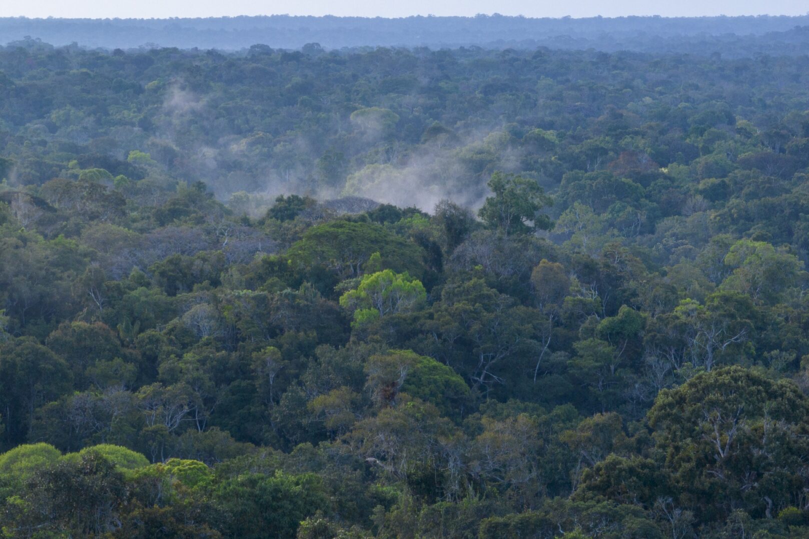 20230719_SERRAP_FORMACAO_AMAZONIA_DR1_DJI_0043