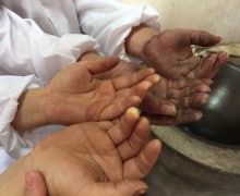 Yellow tea makers hands