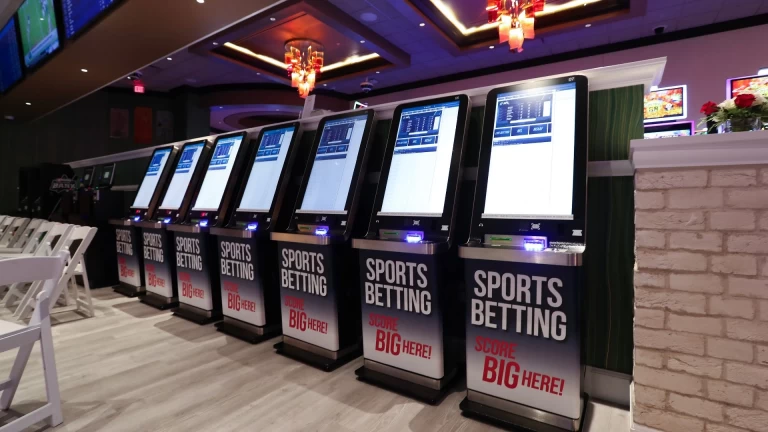 Maximizing Success in Betting: Fun vs. Profit Strategies