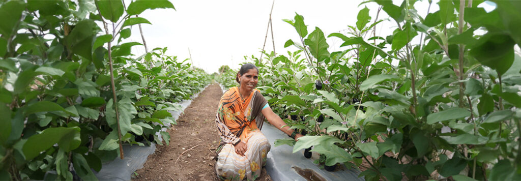 Woman touching her crop on her farm in India