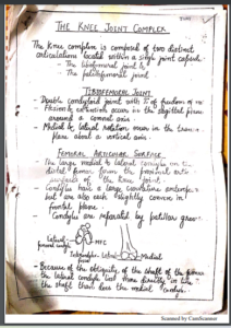 Biomechanics of Knee joint Handwritten Notes PDF