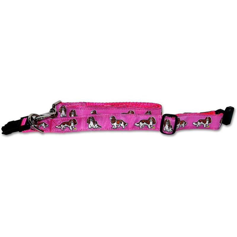 Cavalier King Charles Spaniel Collar and Leash Set