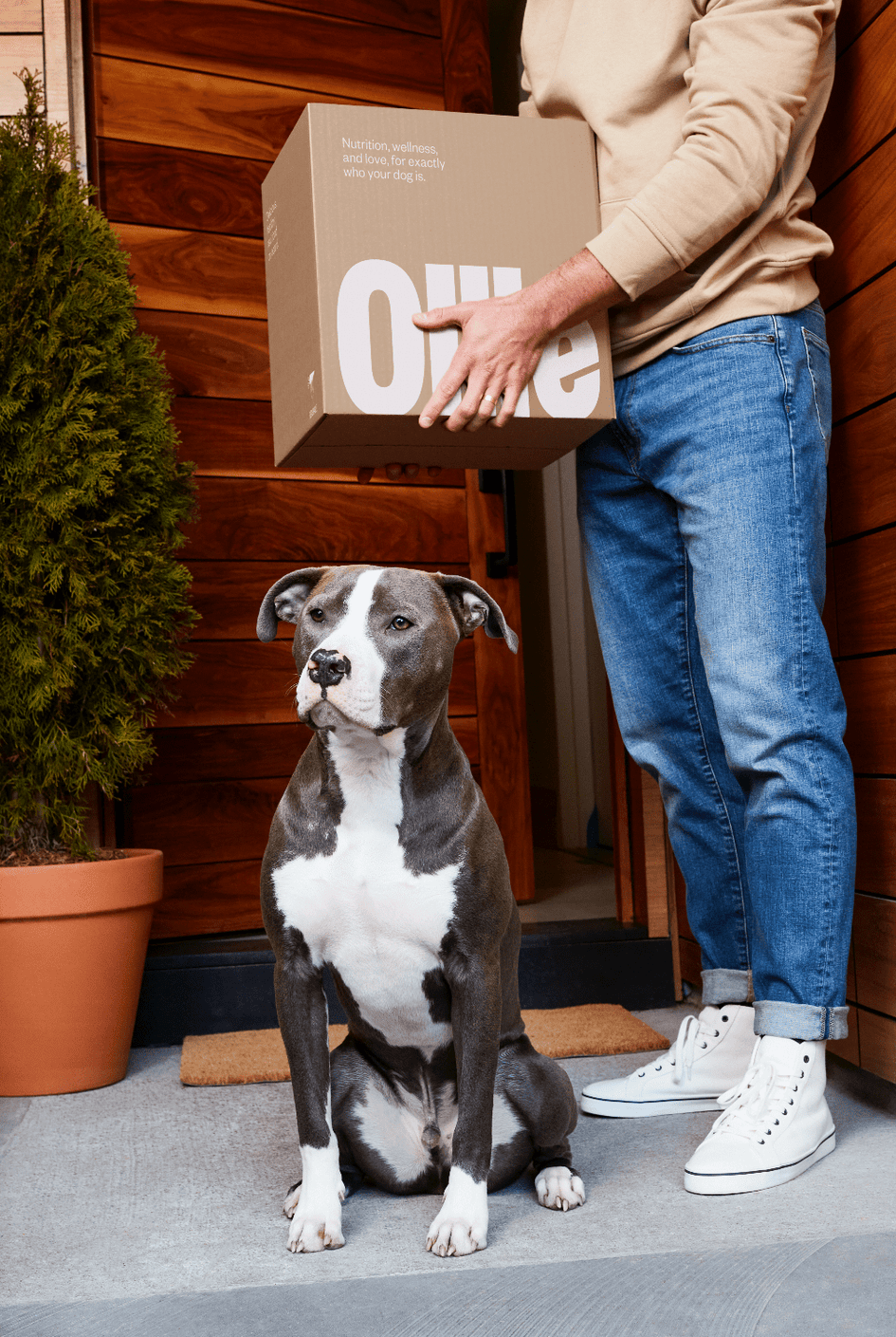 Ollie Custom Dog Food Subscription