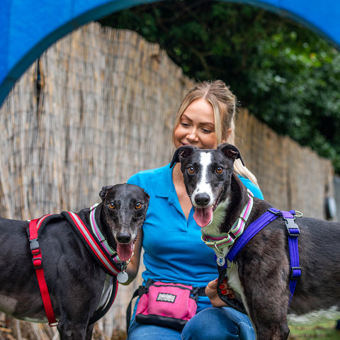 Wellbeing Kit For A Dog