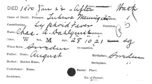 Death and Birth Records, Early (pre-1904)