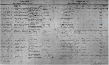 Death and Birth Records, Early (pre-1904)