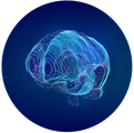 MHI_brain_icon.png