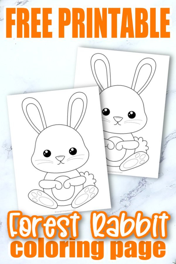 Free Printable Woodland Forest Rabbit Coloring Page for Kids Preschoolers Toddlers and kindergartners