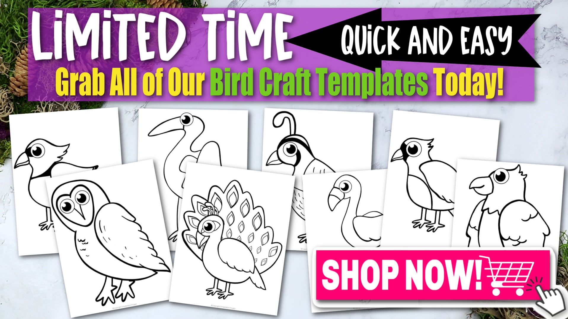 Printable Classic Bird Template Crafts for Kids, preschoolers, toddlers and kindergarten 4