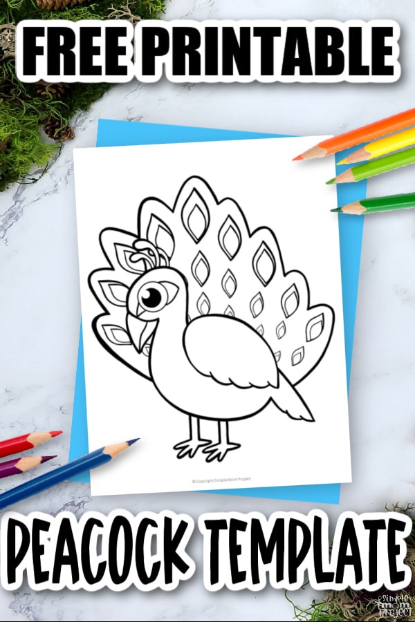 Printable Peacock Template Coloring Page for Kids Preschoolers Toddlers and Bird Crafts 3