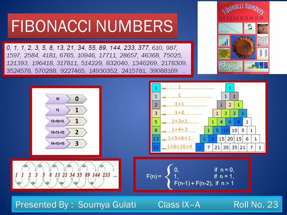 Fibonacci Numbers 0 1 1 2 3 5 8 13 21 34 55 144 233 377 610 987 1597 2584 4181 6765 Ppt Video Online Download