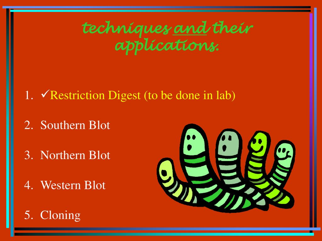 Recombinant DNA Techniques chapter ppt download