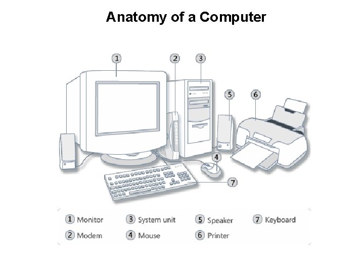 Desktop Computer Anatomy / Scumskullz Anatomy / Here are 6 best free ...