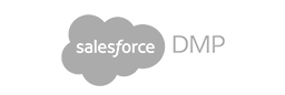 Salesforce DMP logo