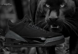 Where To Buy The Jordan Black Cat 3s