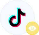 TikTok Video Views icon