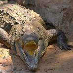 Barranquilla Botanical and Zoological Foundation