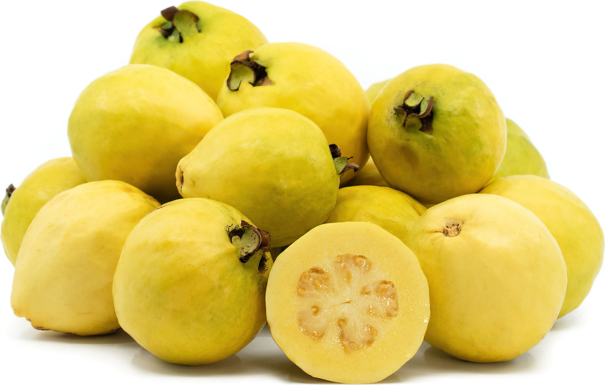 Brazilian Gold Guavas picture