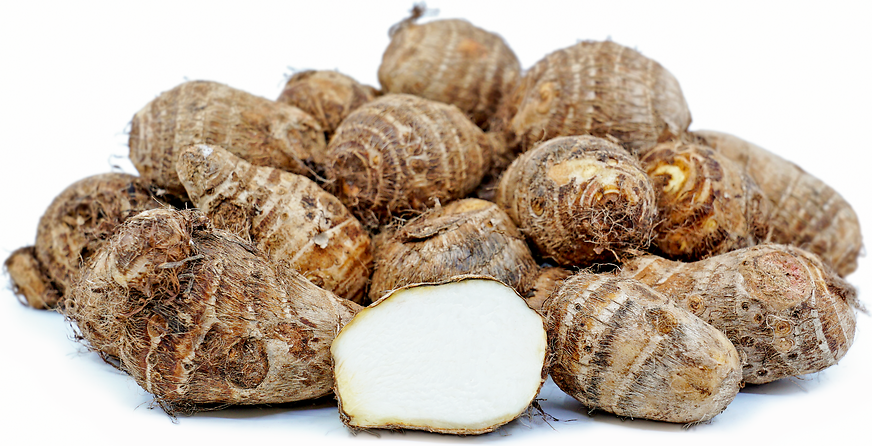 Satoimo Root (Taro) picture