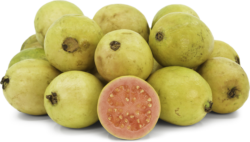 Guayaba picture