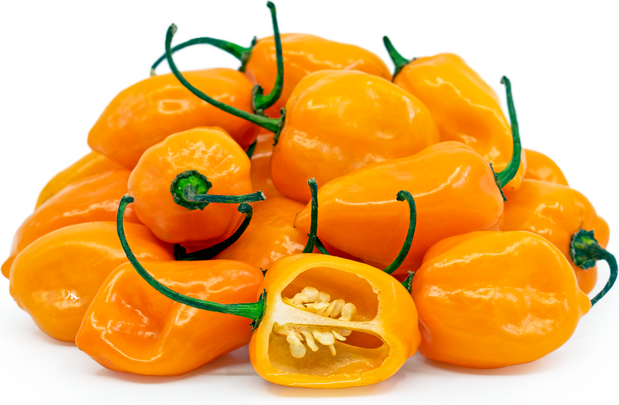 Orange Habanero Chile Peppers picture