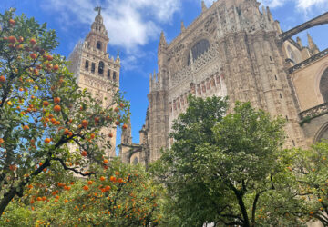 seville guide seville cathedral samuel hoag 01